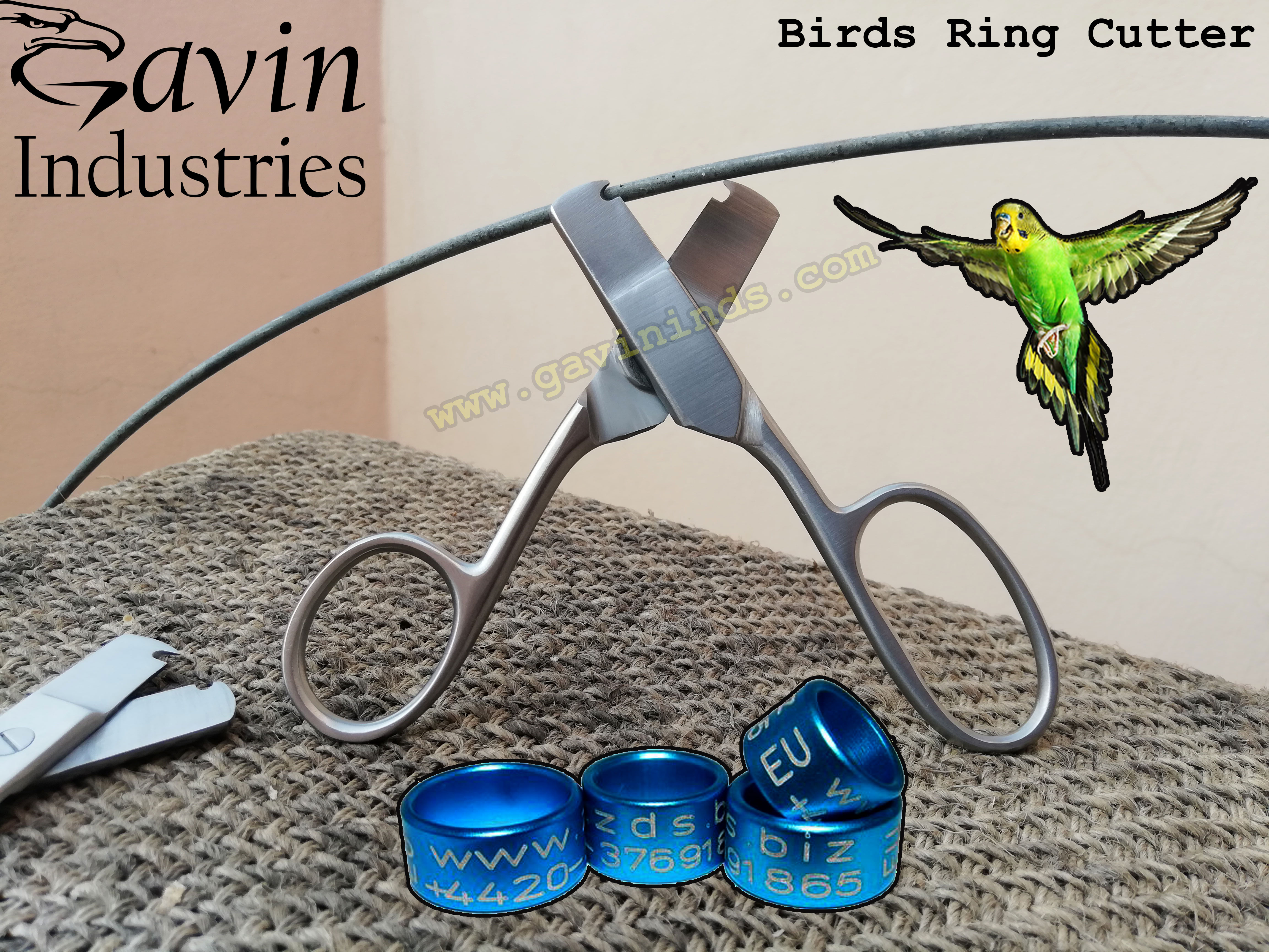 Birds Ring Cutter Gavin Industries